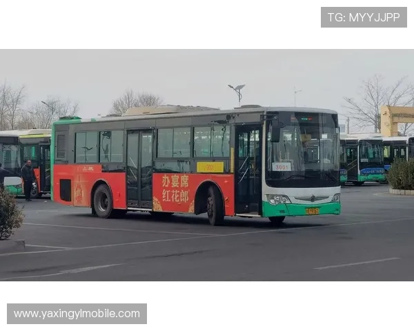 亚星官网正网最新资讯全面解析助您了解亚星正网最新动态与优惠政策