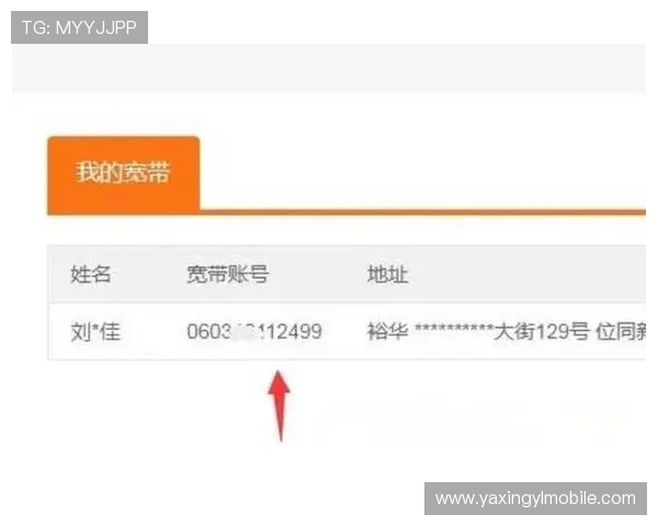 亚星官网登录账号密码忘记了？快速找回账户的详细操作指南