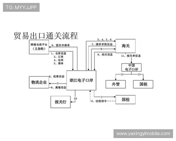 亚星平台登录行：详细步骤帮助用户快速完成登录流程