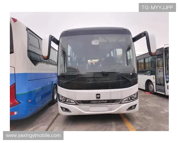 亚星汽车官网：提供详细的车型配置参数和最新优惠活动资讯