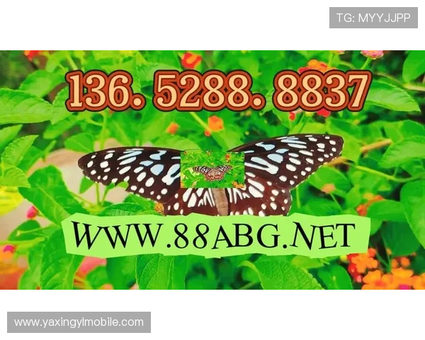 亚星游戏官网入口手机版官方入口导航,轻松找到官方安全登录通道 亚星游戏官网入口手机版官方入口导航,轻松找到官方安全登录通道