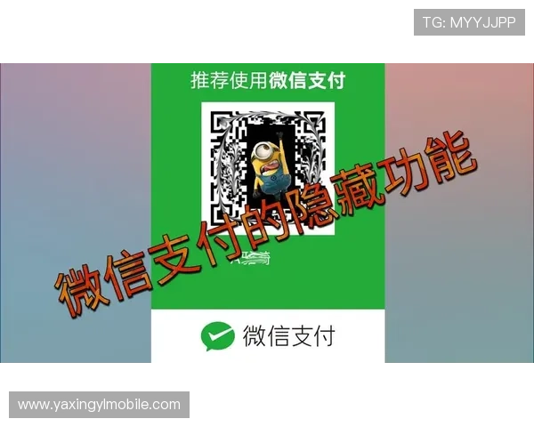 亚星游戏官网登录平台功能介绍：介绍平台的支付方式、安全支付保障及资金管理功能