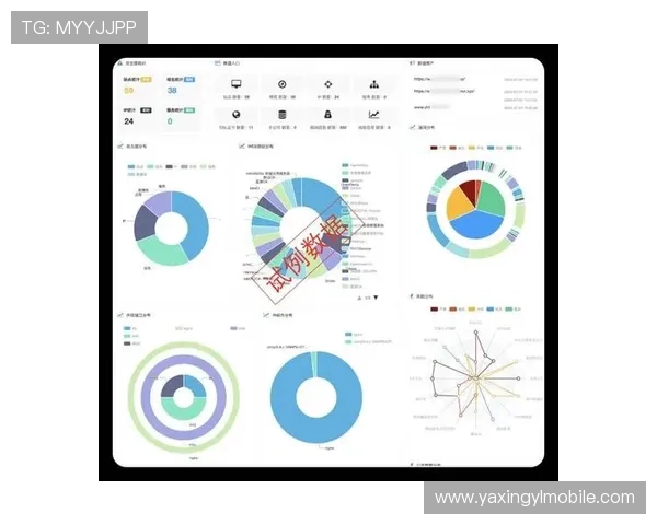 亚星管理平台漏洞对企业信息安全的潜在威胁与防范策略