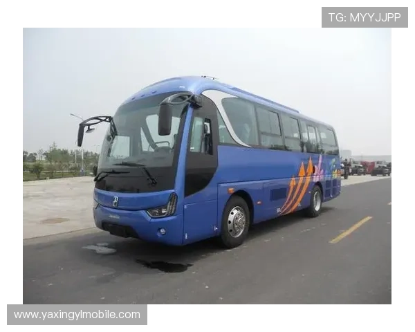 亚星YBL6148H详细参数配置与性能评测,助你全面了解这款设备的优势与不足 亚星YBL6148H详细参数配置与性能评测,助你全面了解这款设备的优势与不足