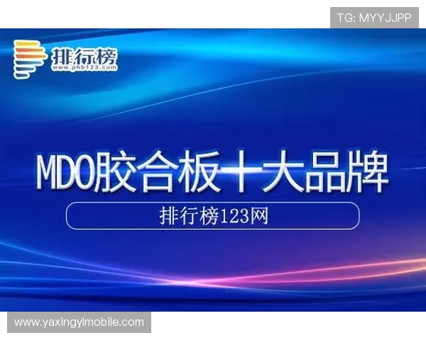 亚星手机版官方登录入口登录界面优化及用户界面操作指南