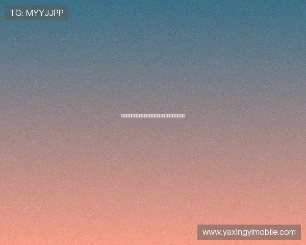 亚星国际站全面介绍与最新动态，助您掌握行业发展趋势